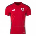 1ª Camiseta Gales 2024