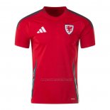 1ª Camiseta Gales 2024