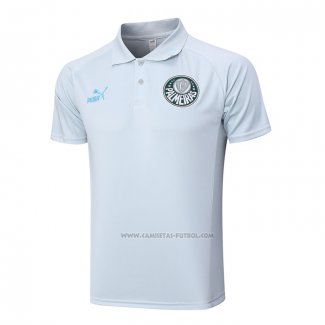 Camiseta Polo del Palmeiras 2023-2024 Gris