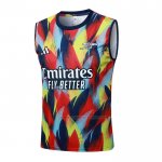 Camiseta de Entrenamiento Arsenal Sin Mangas 2025-2026 Azul Rojo Amarillo