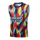Camiseta de Entrenamiento Arsenal Sin Mangas 2025-2026 Azul Rojo Amarillo