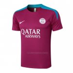 Camiseta de Entrenamiento Paris Saint-Germain 2024-2025 Purpura