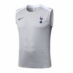 Camiseta de Entrenamiento Tottenham Hotspur Sin Mangas 2025-2026 Gris