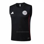 Camiseta de Entrenamiento Ajax Sin Mangas 2025-2026 Negro