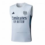 Camiseta de Entrenamiento Arsenal Sin Mangas 2025-2026 Gris