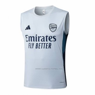 Camiseta de Entrenamiento Arsenal Sin Mangas 2025-2026 Gris