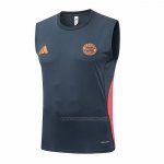 Camiseta de Entrenamiento Bayern Munich Sin Mangas 2025-2026 Gris Oscuro